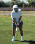 Cleo's Golf Swing